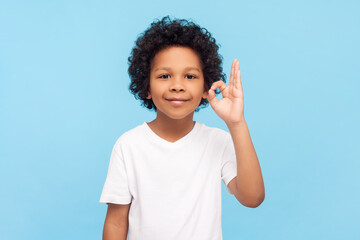 Portrait of cute smiling positive little boy with curly hair standing showing ok sign okay gesture...