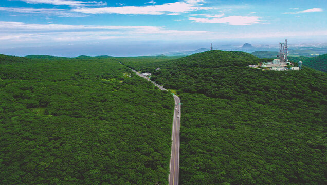 제주도 한라산 1100 도로 숲길 드라이브 풍경