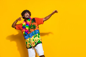 Portrait of nice guy with afro hair wear hawaii flower necklace dancing look at discount empty...