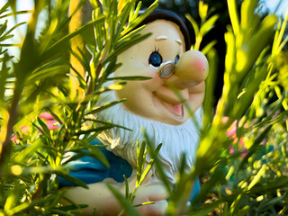 Garden gnome with glasses and beard placed in between the plants