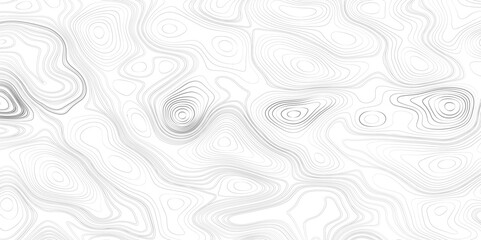 Topography map background Grid map Contour Vector illustration. Landscape background with an abstract topography map design