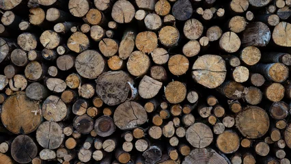 Möbelaufkleber Stack of wooden stumps, tree trunks in cross-section texture wall wallpaper decor background - Wood storage, woods firewood hardwood timber forest long wide panorama banner pattern. © Corri Seizinger
