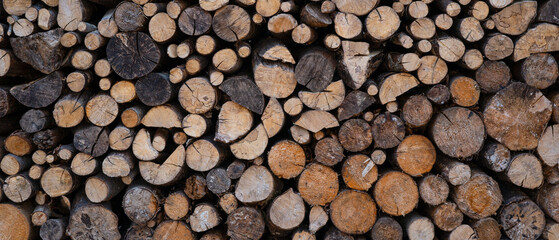 Stack of wooden stumps, tree trunks in cross-section texture wall wallpaper decor background - Wood...
