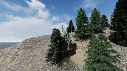 pine tree on a mountain top