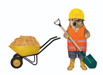 Dog with shovel at wheelbarrow with sand - 769841662