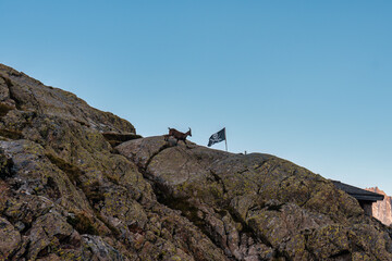 Mountain goat climbing on rocky mountain - 769849674