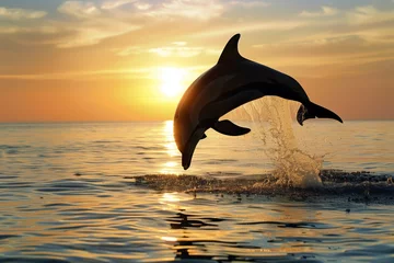 Foto op Canvas silhouette of dolphin leaping at sunrise © primopiano