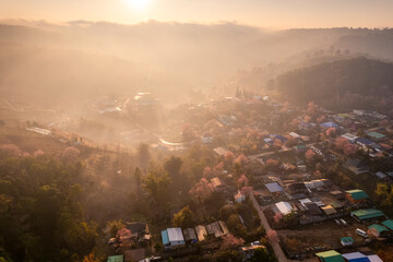 Sunrise over Thai tribe village in foggy with wild himalayan cherry tree blooming at Ban Rong Kla,...