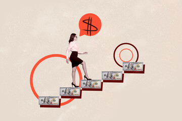 Composite collage image of serious businesswoman step career ladder money dollars income career up success isolated on painted background