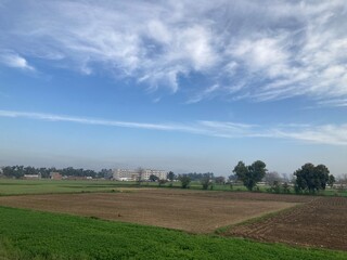 Obraz premium landscape with a field