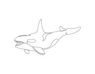 Continuous one line drawing of orca whale. One line of wild whale killer. Under ocean concept continuous line art. Editable outline.