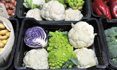 different cabbages in a store