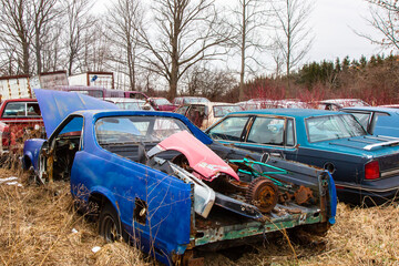 A winter field full of junked old automobiles waiting for scrapping and metal recycling