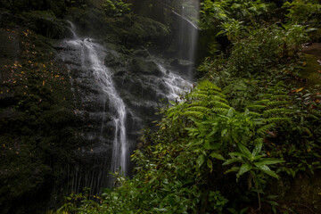 Scene of Tilos waterfall in La Palma Island, Canary Islands. - obrazy, fototapety, plakaty