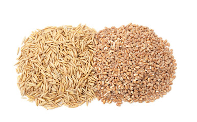 Oats and wheat grain.