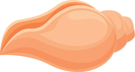 Raw conch icon cartoon vector. Marine sea shell. Art label decoration