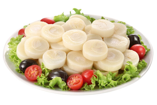 prato com salada de palmito, alface, tomate e azeitona isolado em fundo transparente