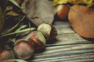 hazelnuts with dead leaves on a table