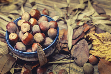 blue cup of hazelnuts with leaves