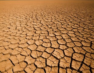 Global warming VS Climate Change | Ecology concept | Environment Day | A crack field