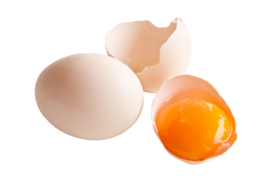 Broken egg and egg yolk close up photo isolated on transparent background, png file