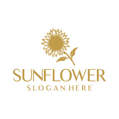 Sunflower, floral logo vector illustration