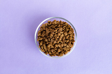 Dry pet food in a glass jar and bowl close-up on a lilac background. - 769873669