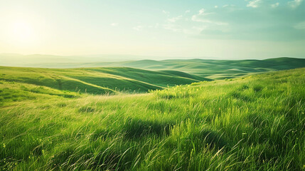Under a sunny sky lush green grasslands stretch into the horizon offering a picture landscape for nature