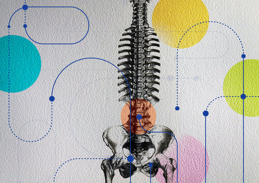 Connections to human spine