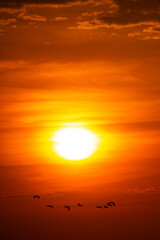 sunset on the sea