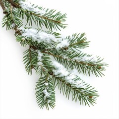 Snow-Covered Pine Branches Isolated on White Background. Generative AI.