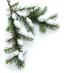 Snow-Covered Pine Branches Isolated on White Background. Generative AI.