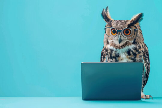 A owl with glasses and a surprised look on her face is looking at a laptop on solid blue background. ai generative
