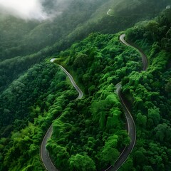 Aerial top view of a beautiful, curvy road through a green forest during the rainy season. - obrazy, fototapety, plakaty