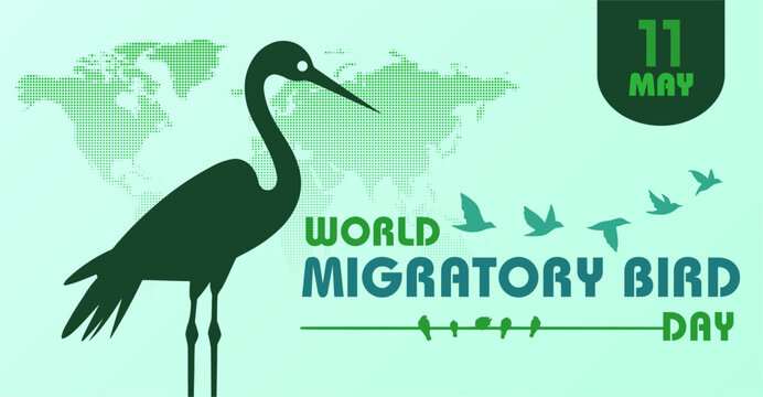 World Migratory Bird Day, 11 May. Campaign or celebration banner