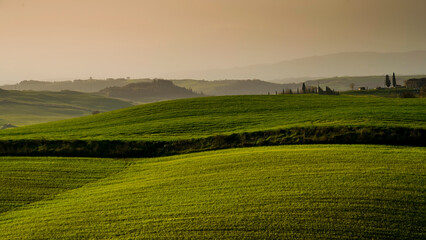 Fototapeta na wymiar Panorama collinare della Val d'Orcia lungo il percorso ciclistico dell'Eroica. Provincia di Siena. Toscana , Italia 