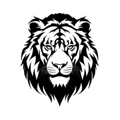 Obraz premium head of lion