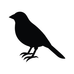 silhouette of a bobolink bird on white