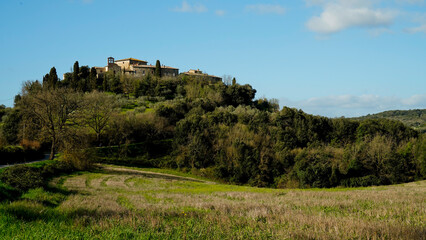 Panorama collinare della Val d'Orcia lungo il percorso ciclistico dell'Eroica. Provincia di Siena. Toscana , Italia
 - obrazy, fototapety, plakaty
