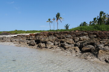 Felsenküste am Meer mit Palmen auf der Tropeninsel Isla Iguana in Panama