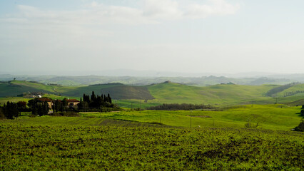 Panorama collinare della Val d'Orcia lungo il percorso ciclistico dell'Eroica. Provincia di Siena....