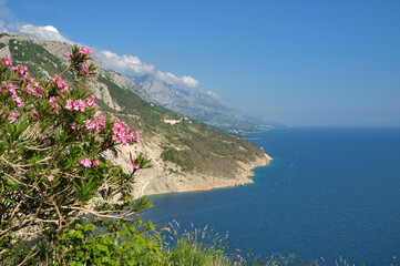 Coastline at Makarska Riviera close to Brela,adriatic Sea,Dalmatia region,Croatia