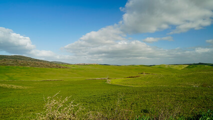 Fototapeta premium Panorama collinare della Val d'Orcia lungo il percorso ciclistico dell'Eroica. Provincia di Siena. Toscana , Italia 