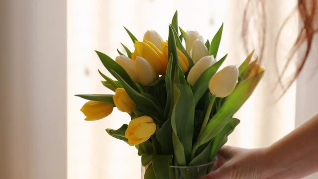 The girl places a transparent glass vase with tulips on the table. a spring bouquet of yellow and white tulips