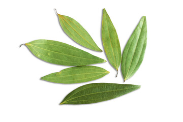 Dried bay leaf or bay laurel leaves,Laurus,cinnamon leaf spice also known in india as...