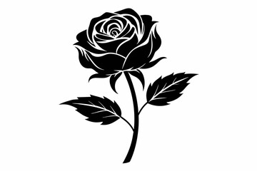 Rose flower outline silhouette black vector illustration 