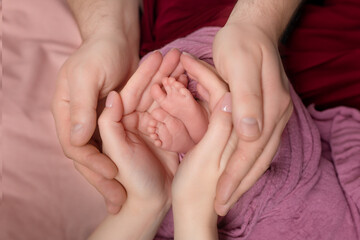 baby's legs in the hands of mom and dad. parental care for the child