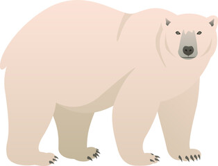 Color vector illustration of polar bear standing side view. Wild animal living in the ice isolated on white background. Wildlife of Arctic.