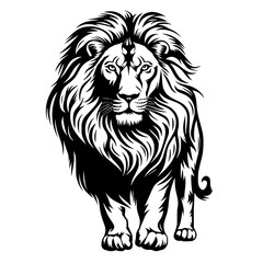 lion black and white