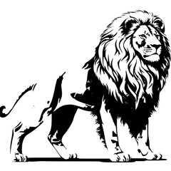 lion vector
